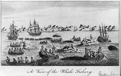 A view of the whale fishery