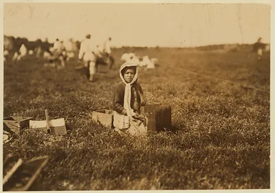 Bessie Gonsalve, Said she was 11. Picking and carrying cranberries. Lives in Harwich, Mass. Expects to be here for several weeks more. Location: Hollow Branch Bog, near Wareham, Massachusetts.