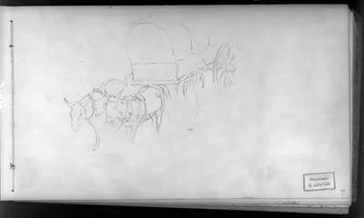 [Mules pulling wagon]