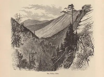 The Willey Slide