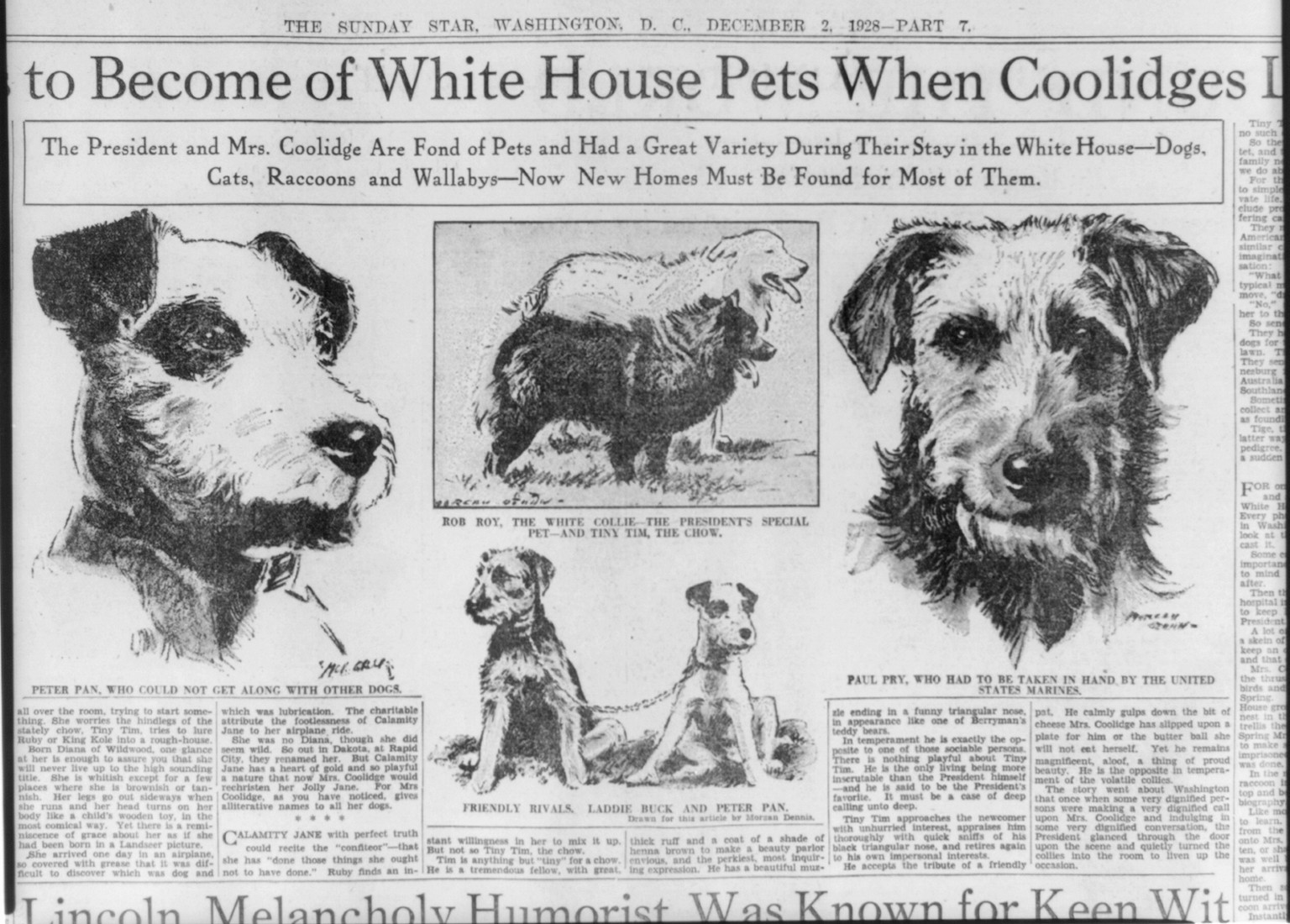 [What is] to become of White House pets when Coolidges ..., 1928 Dec. 2. — historic print