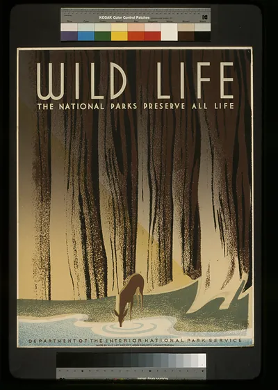 Wild life The national parks preserve all life.