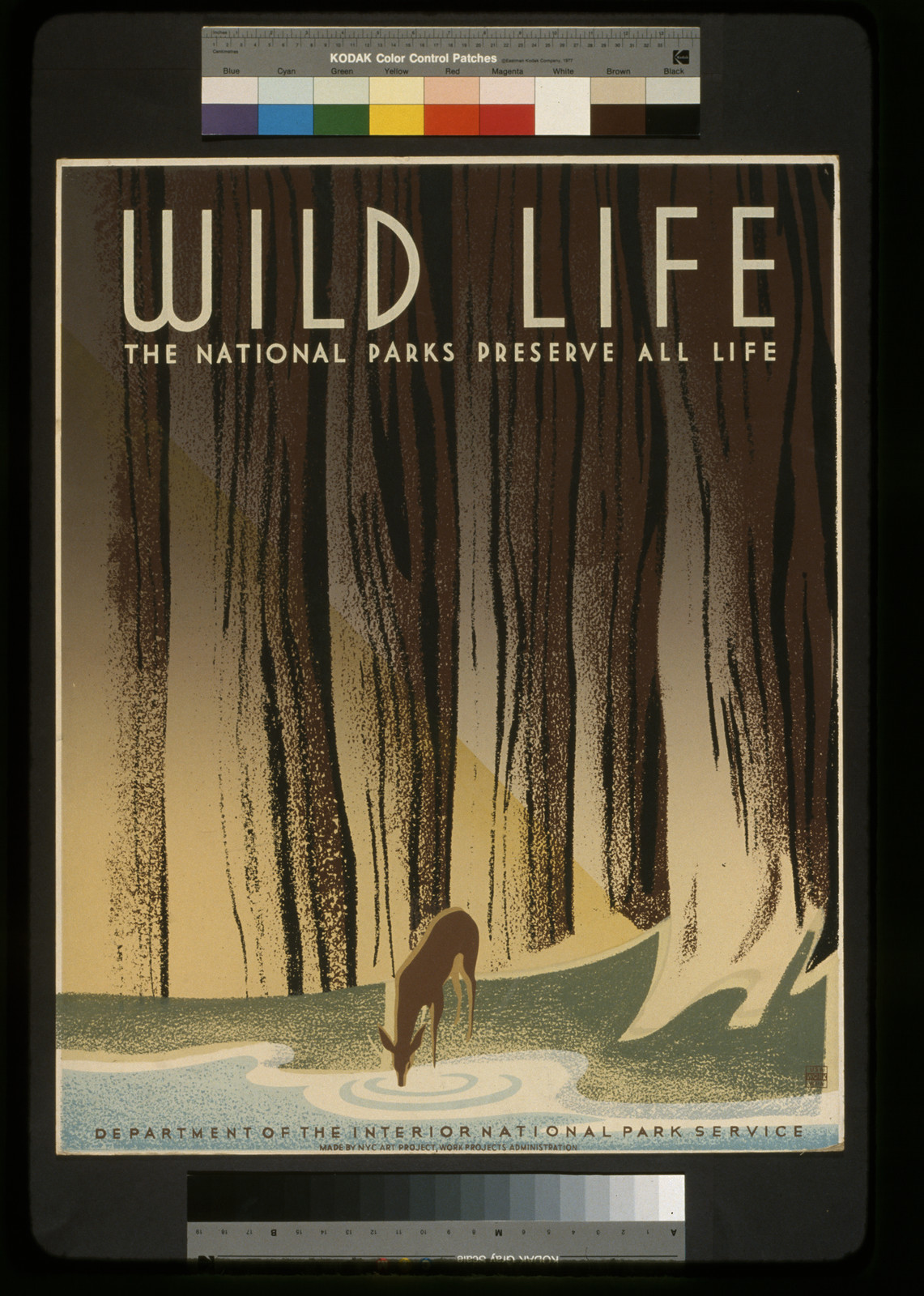 Wild life The national parks preserve all life., NYC : NYC Art Project, Works Projects Administration, [between 1936 and 1940] — vintage poster