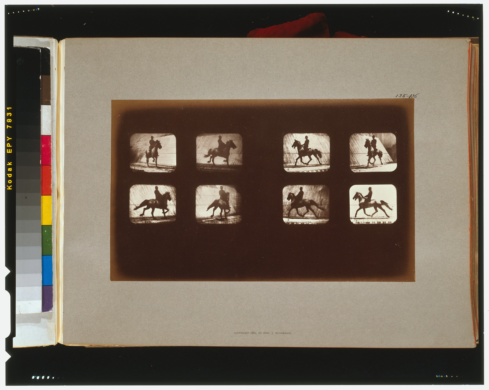 Horses. Trotting, [San Francisco] : Muybridge, c1881. — historic photograph
