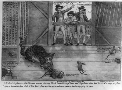 Old Jack, the famous New Orleans mouser, clearing Uncle Sam's barn of bank and Clay rats; ...