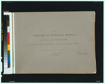 [Title page of The attitudes of animals in motion"]"