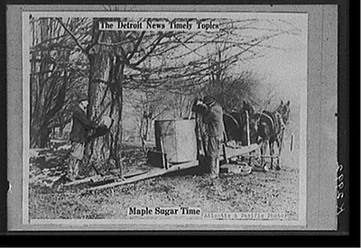 The Detroit news timely topics. Maple sugar time