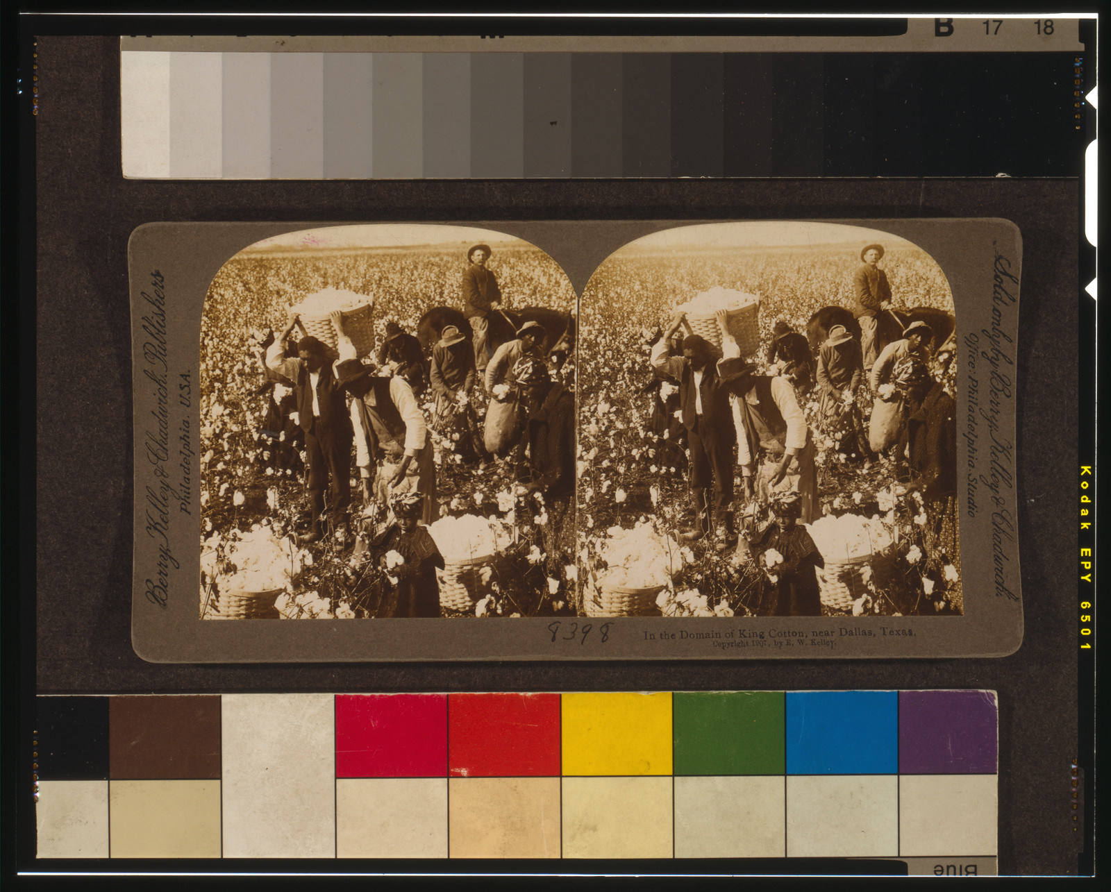 In the domain of King Cotton, near Dallas, Texas, Philadelphia, U.S.A. : Berry, Kelley & Chadwick, publishers, c1907. — historic photograph