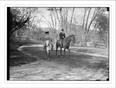 Central Park Horseback Riding