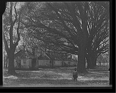 The Hermitage, slave quarters, Savannah, Ga.