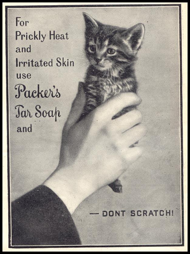 Packer's Tar Soap advertisement with a kitten for prickly heat — historic image