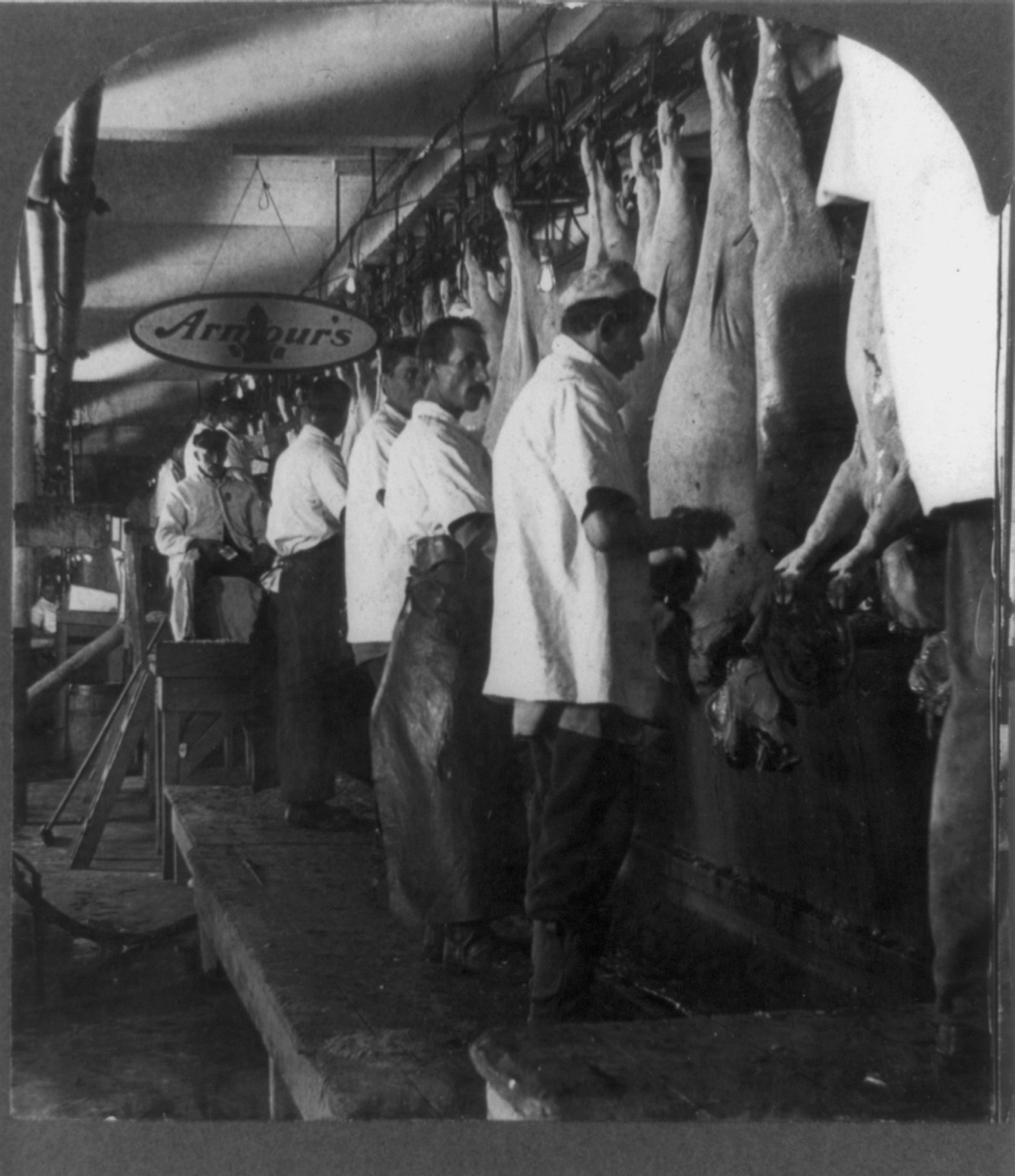 [Hog scraping rail, Armour's Packing Plant, Chicago, U.S.A.], c1909. — stereograph