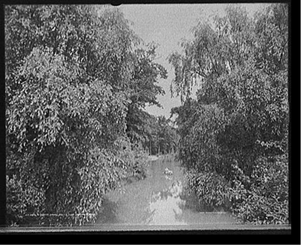 Forest canal, Belle Isle [Park], Detroit, Mich., c[between 1900 and 1910] — historic photograph