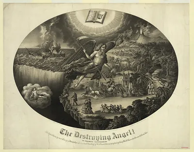 The Destroying Angel! An Emblematic Illustration