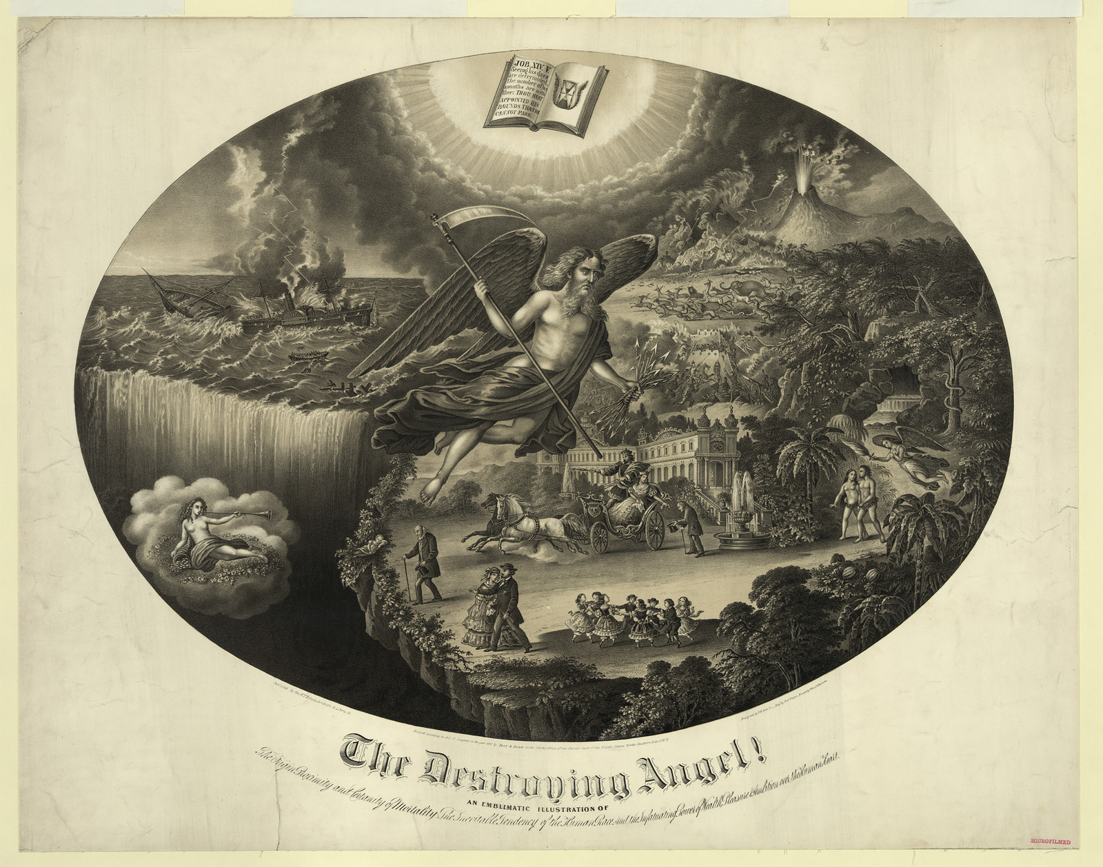 The Destroying Angel! An Emblematic Illustration — historic image