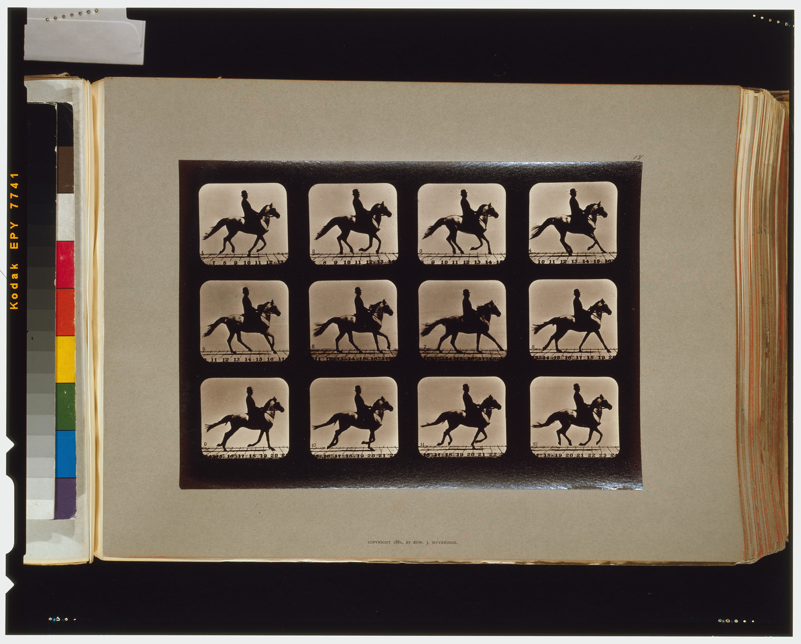 Horses. Cantering, [San Francisco] : Muybridge, c1881. — historic photograph
