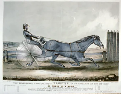 The celebrated trotting horse trustee as he appeared in his 20th mile: In his great match against time of trotting harness 20 miles in 1 hour over the union course L.I. Oct. 20th 1848
