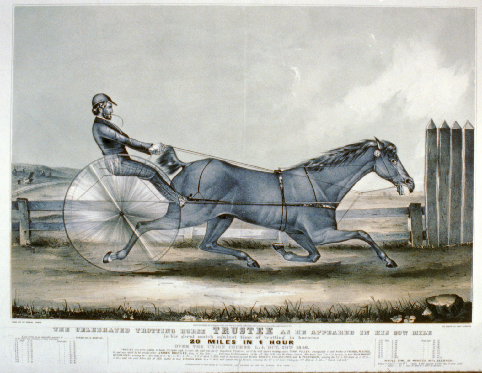 The celebrated trotting horse trustee as he appeared in his 20th mile: In his great match against time of trotting harness 20 miles in 1 hour over the union course L.I. Oct. 20th 1848, [New York] : N. Currier, 1848. — antique lithograph