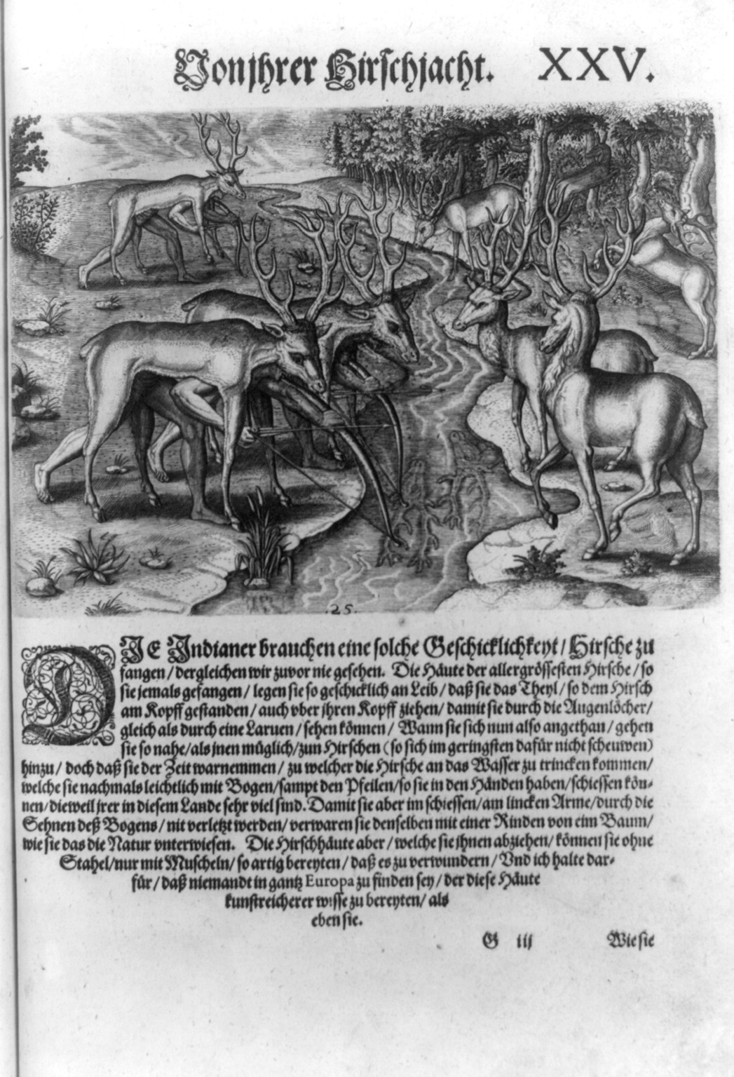 [Florida Indians, disguised under deerskins, hunting deer], [1603] — antique engraving