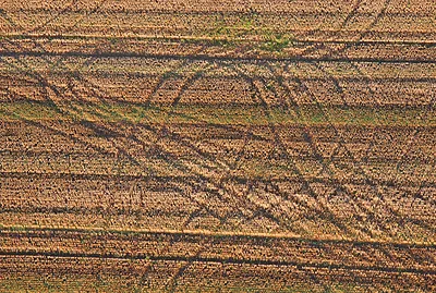 Aerial view of harvested field with tractor tracks