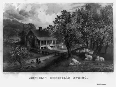 American homestead spring