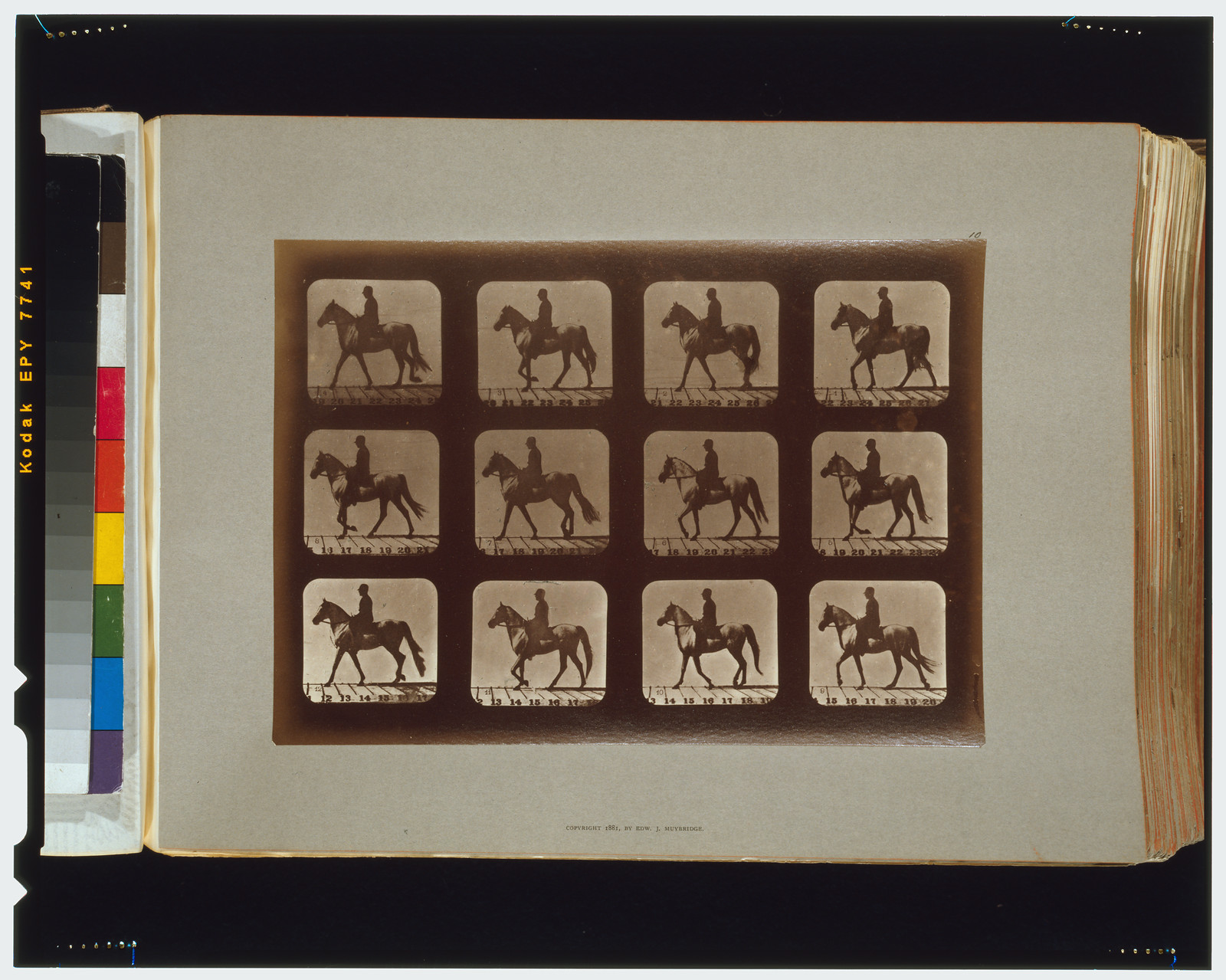 Horses. Walking, [San Francisco] : Muybridge, c1881. — historic photograph