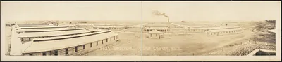 Hospital Camp Custer, Michigan, 1917