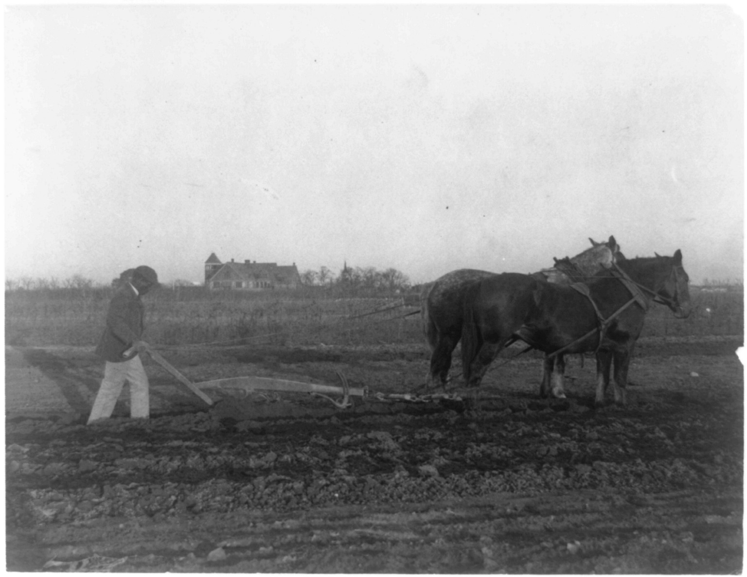 Improved method of plowing, [1899?] — historic photograph