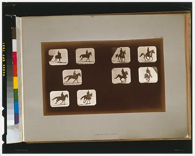 Horses. Running--Horses. Running