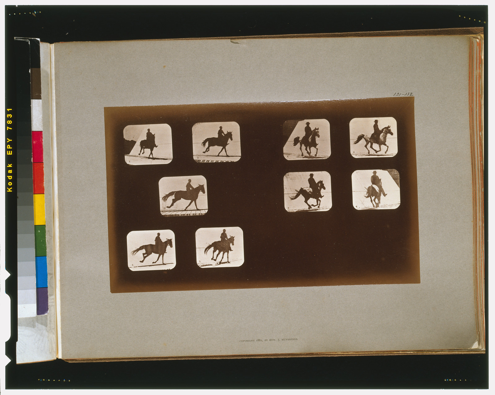 Horses. Running--Horses. Running, [San Francisco] : Muybridge, c1881. — historic photograph