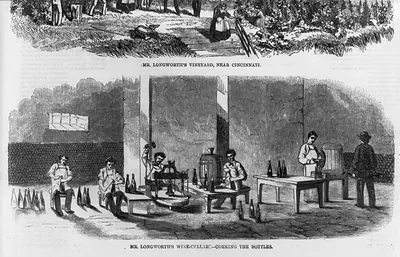 [Corking bottles in Mr. Longworth's wine cellars near Cincinnati]