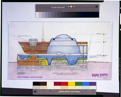 Dolphin Communication Space, Research Lab and Hotel cross section