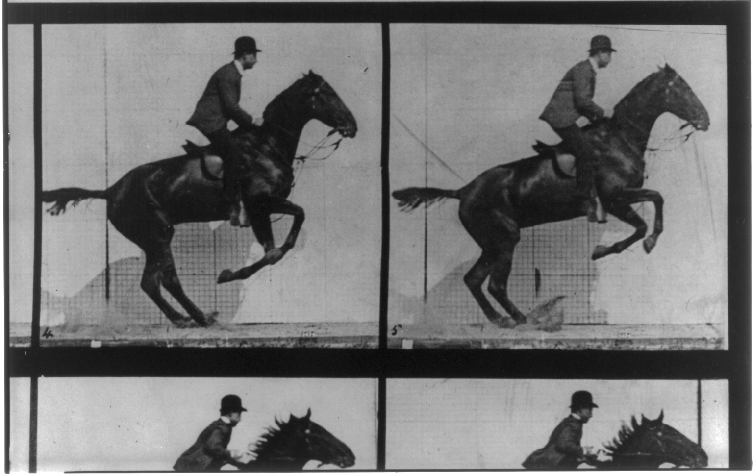 [Horse in motion, jumping], c1887. — historic photograph