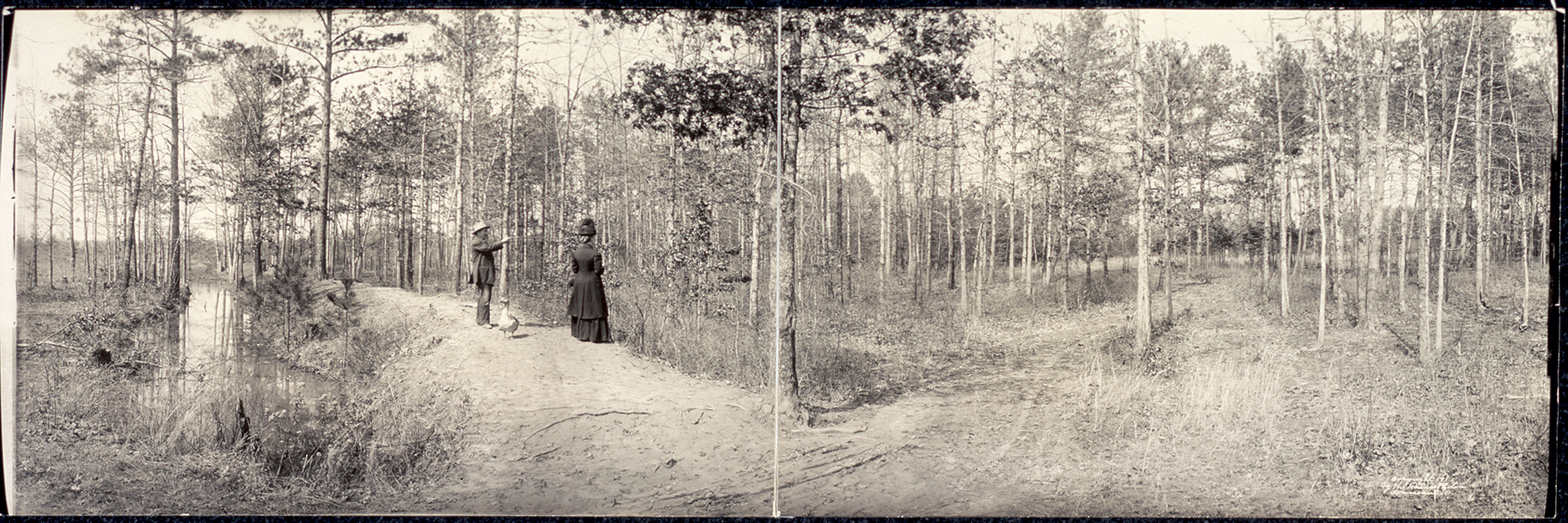 Seven Pines Battlefield Fair Oaks, Virginia, 1912, 1912 — historic image