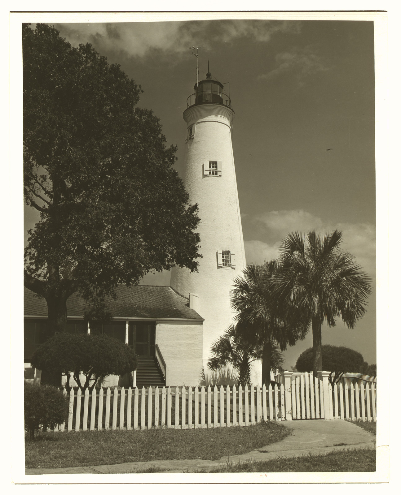 St Marks Lighthouse with palms and picket fence — historic image