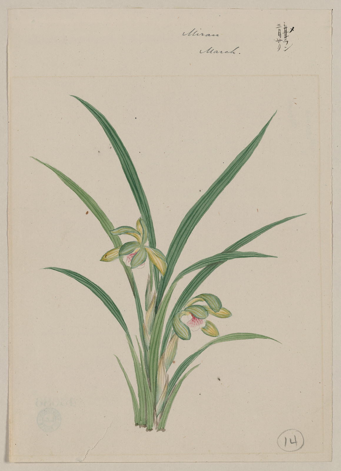 [Japanese drawing], 1750 — historic drawing