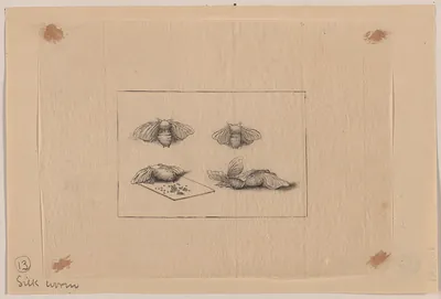 [Japanese drawing]