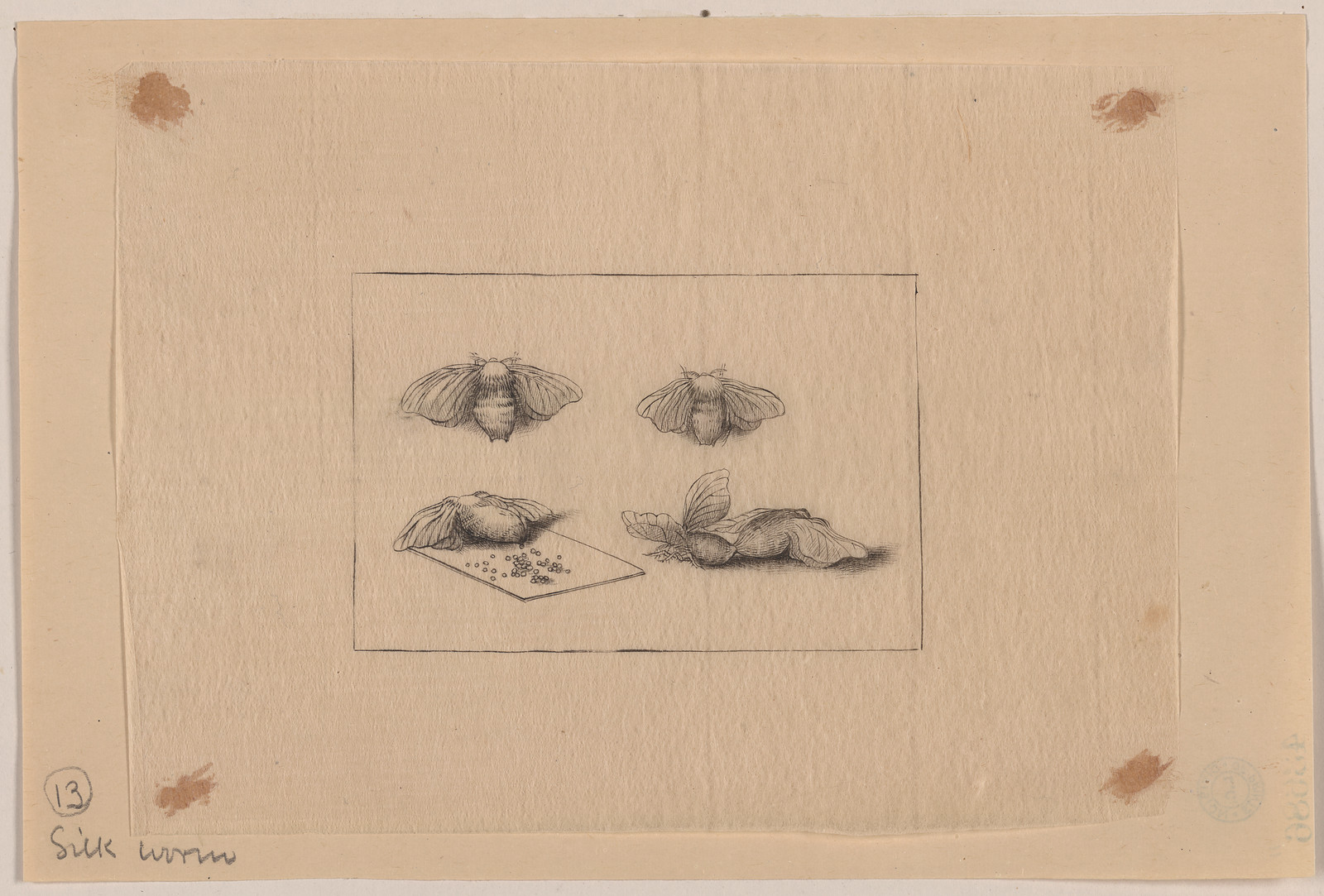 [Japanese drawing], 1750 — historic drawing