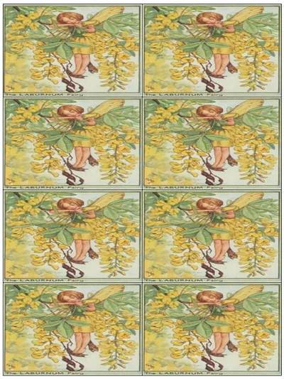 The Laburnum Fairy: eight labels on one sheet