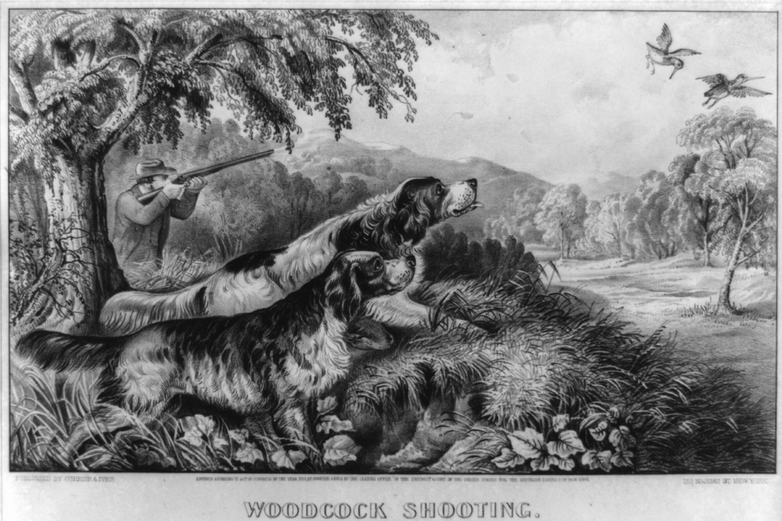 Woodcock shooting, New York : Published by Currier & Ives, c1870. — antique lithograph