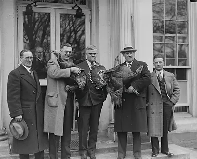 Thanksgiving Turkey For The President, 11/26/29