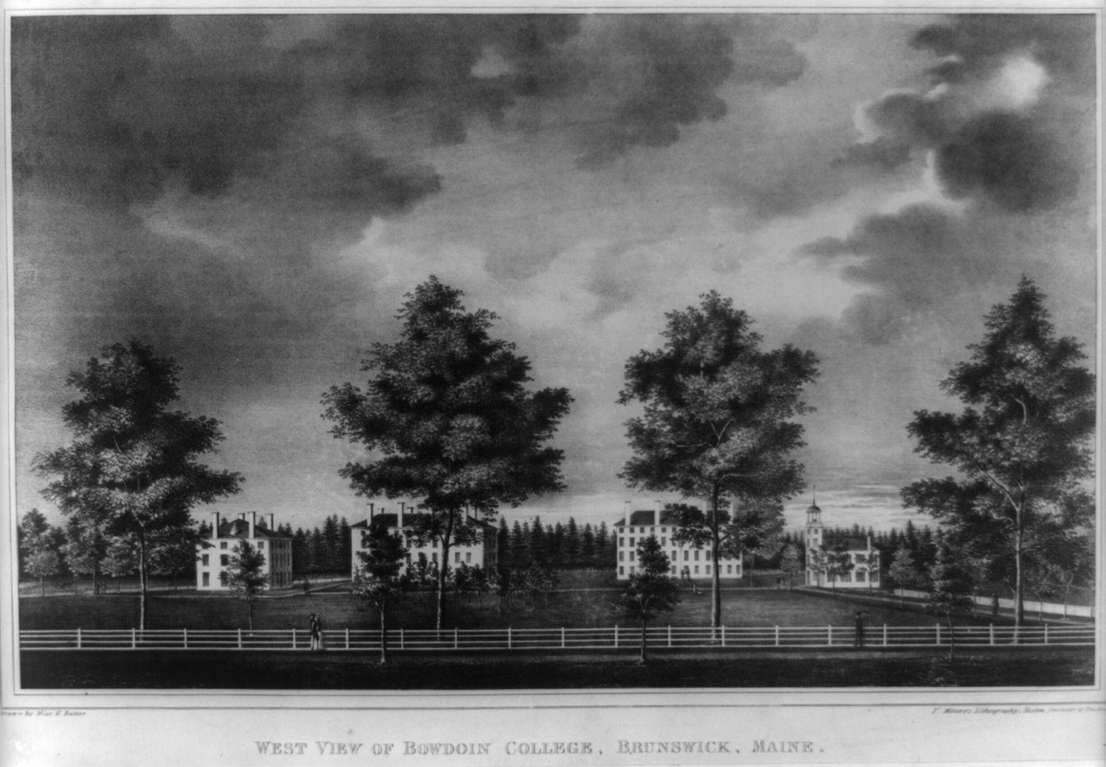 West view of Bowdoin College, Brunswick, Maine, [no date recorded on shelflist card] — historic print