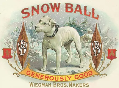 Snow Ball cigar box label with white dog