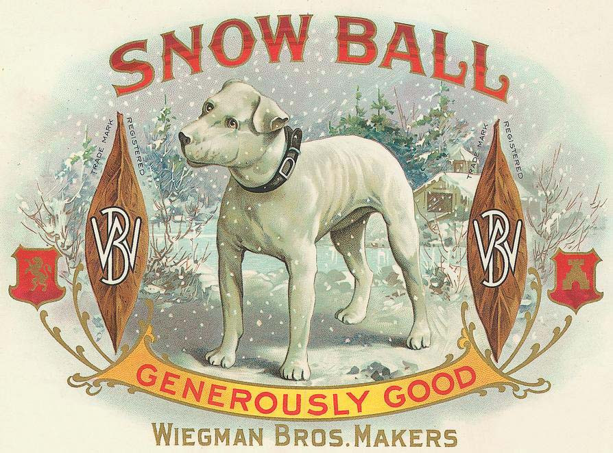 Snow Ball cigar box label with white dog — historic image