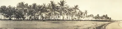 Layton, Florida, 1912
