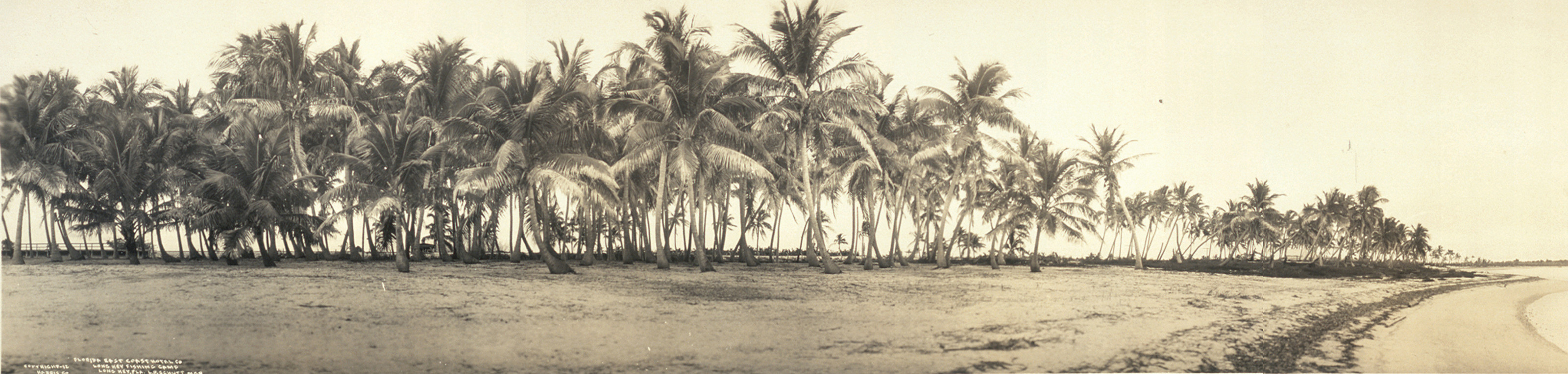 Layton, Florida, 1912, 1912 — historic image