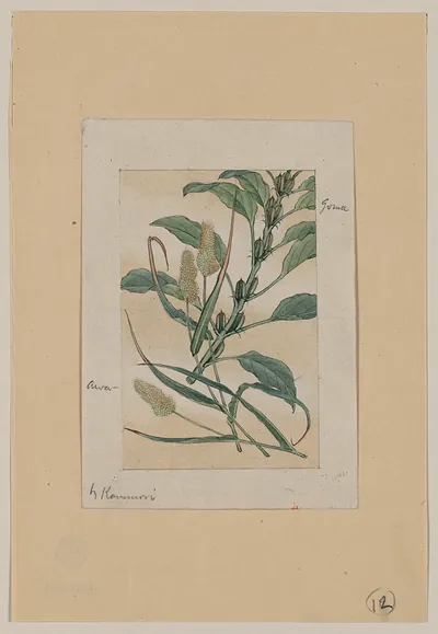 [Japanese drawing]