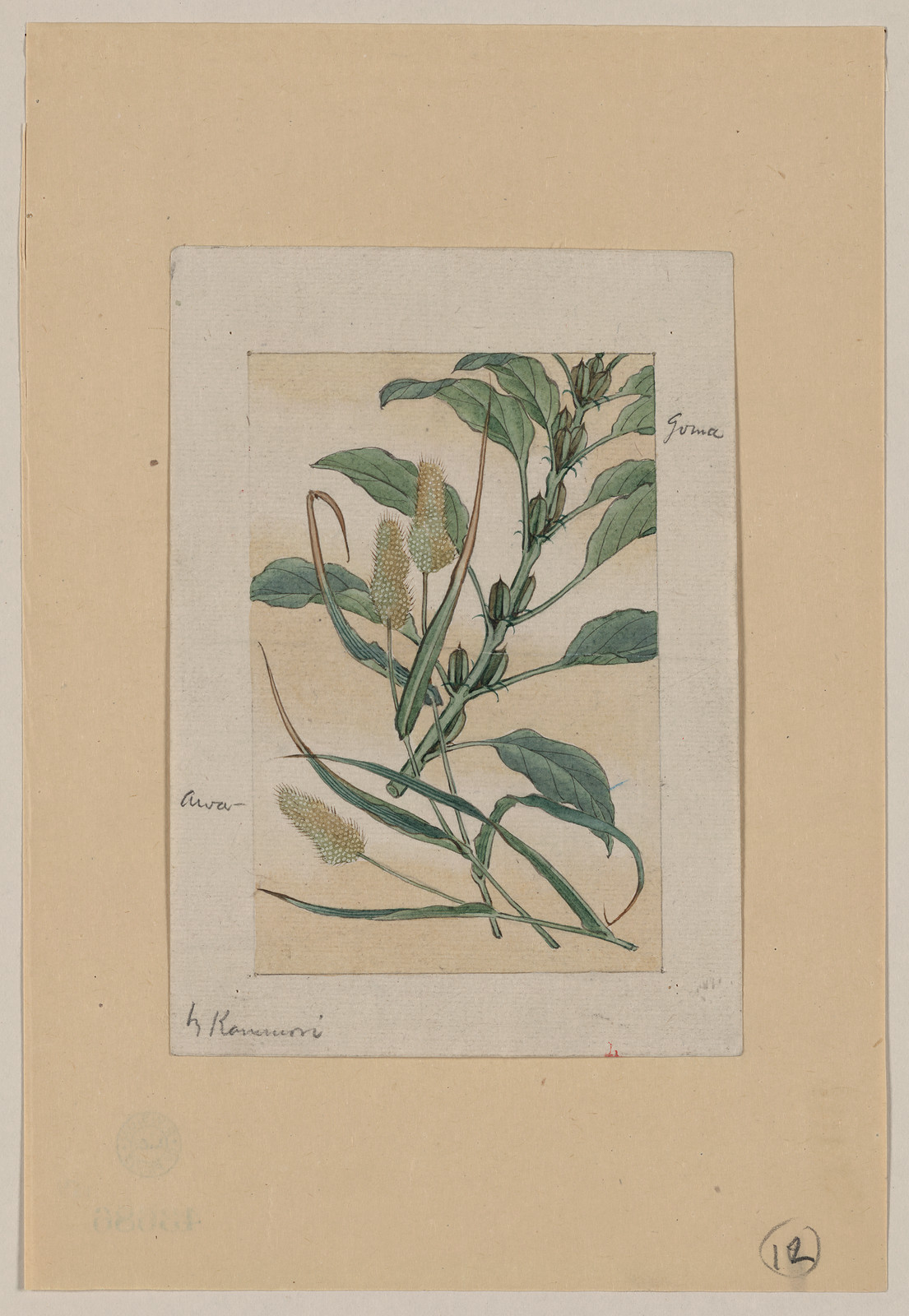 [Japanese drawing], 1750 — historic drawing