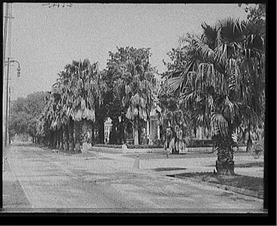 [Saint Charles Avenue, New Orleans, La.]