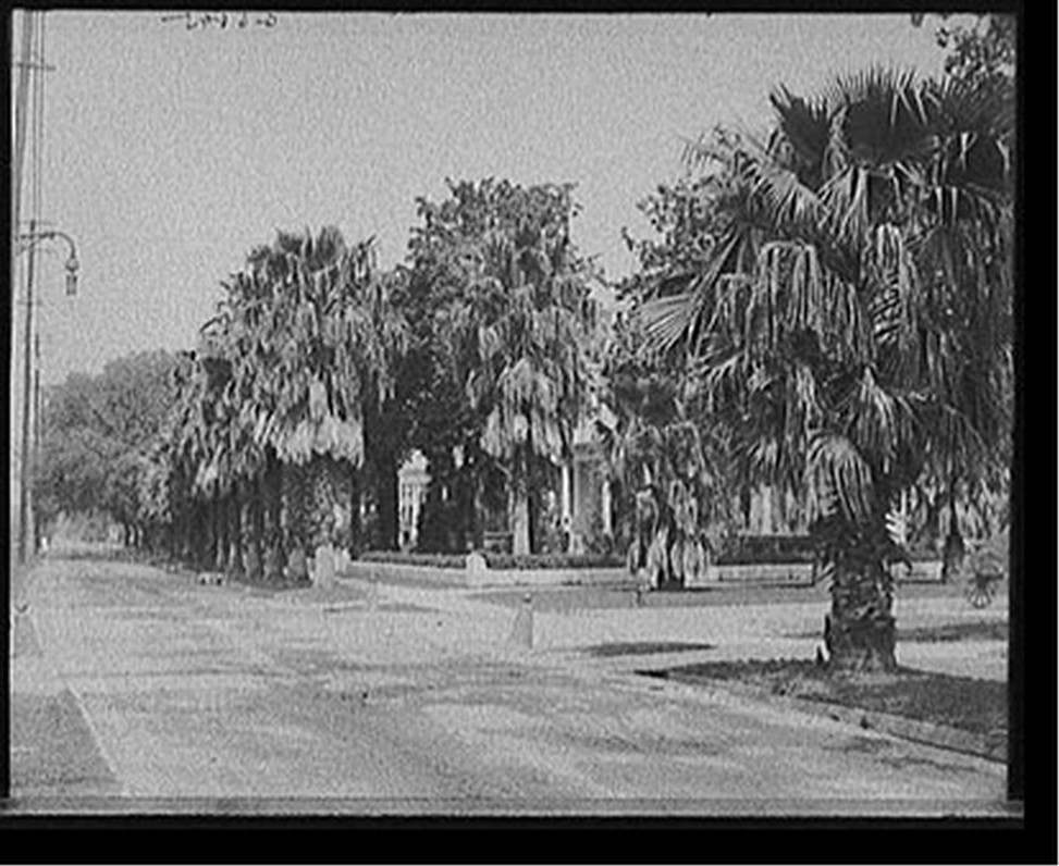 [Saint Charles Avenue, New Orleans, La.], [ca. 1910] — historic photograph